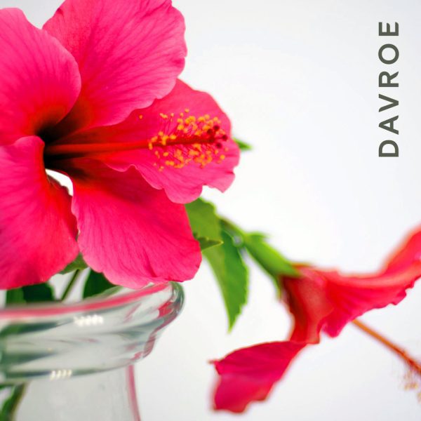 Repair Senses Revitalising Conditioner - Image 2